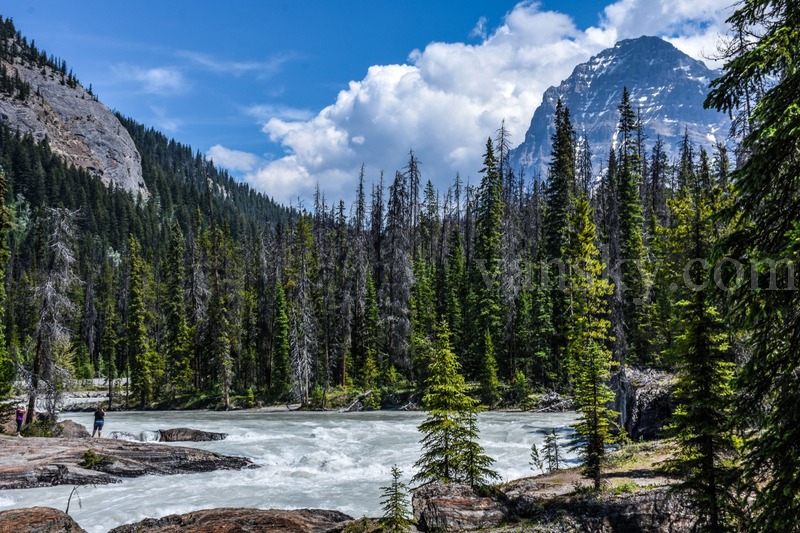 200105151805_Yoho National Park-3.jpg